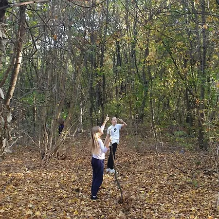 Log Βελιγράδι