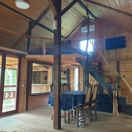 Log Βελιγράδι